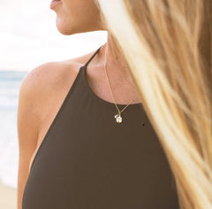 Sunshine & Saltwater